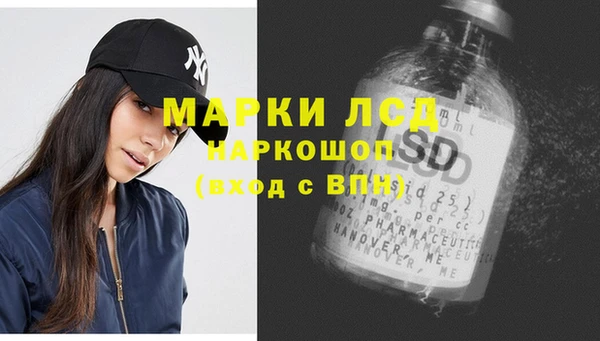 индика Козельск